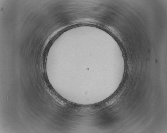 X0000066970931200604211903