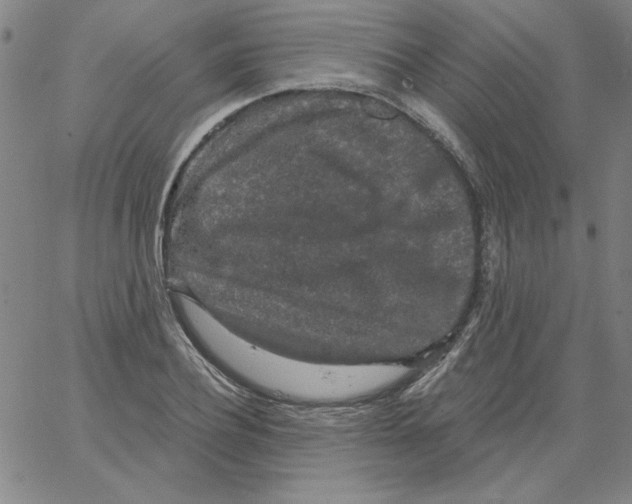 X0000066970932200604211903