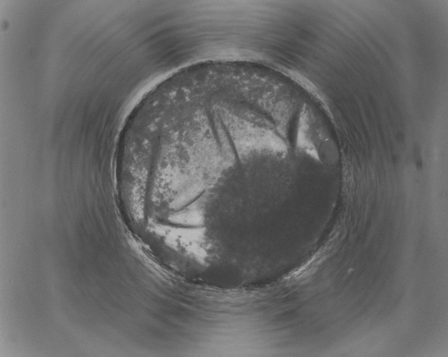 X0000066970935200604211903