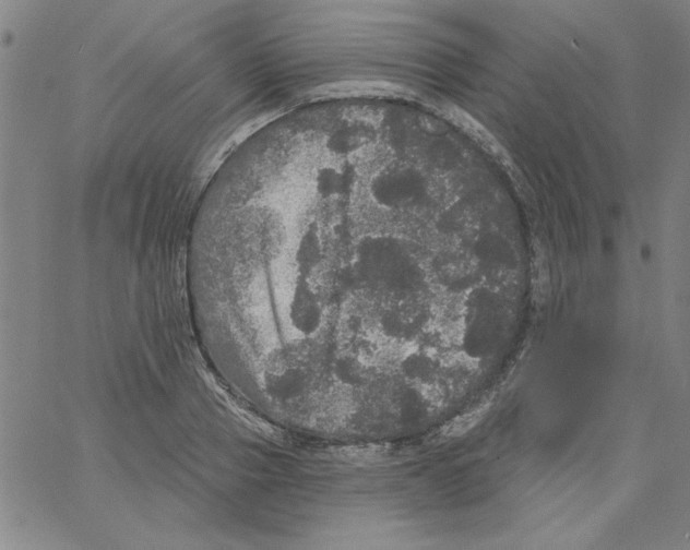 X0000066970937200604211903