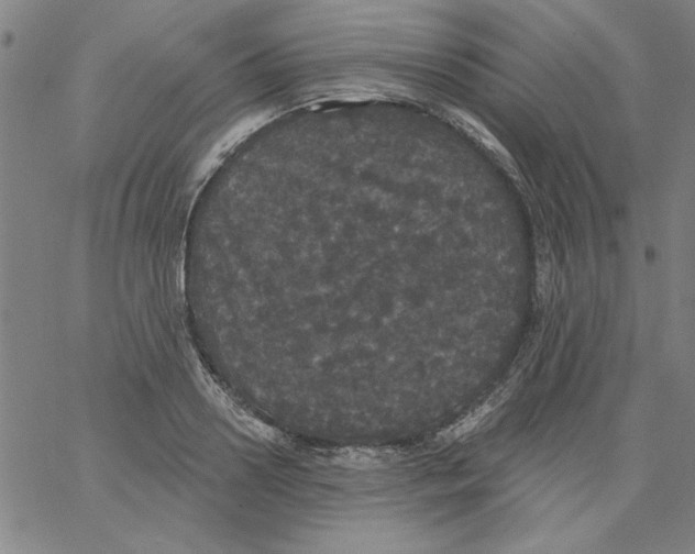 X0000066970938200604211903