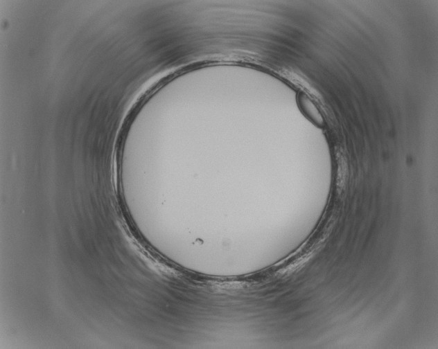 X0000066970940200604211903