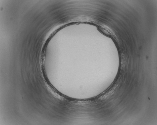 X0000066970942200604211903