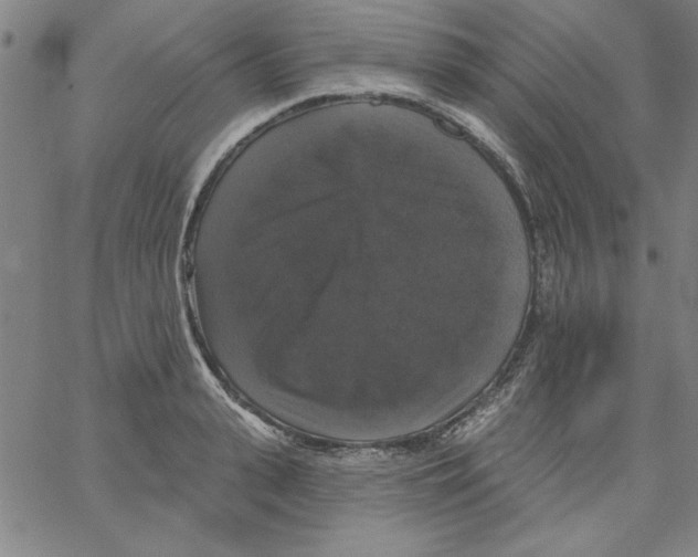 X0000066970943200604211903