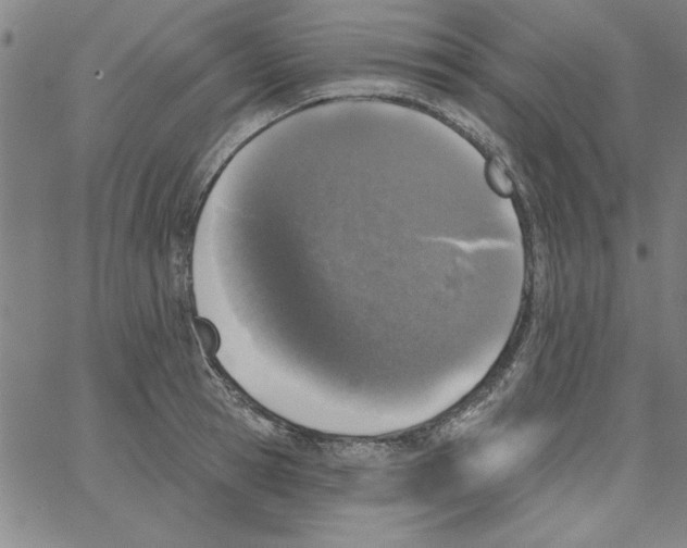 X0000066970945200604211903