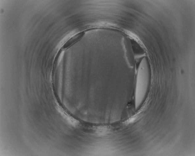 X0000066970946200604211903