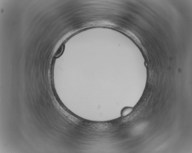 X0000066970947200604211903