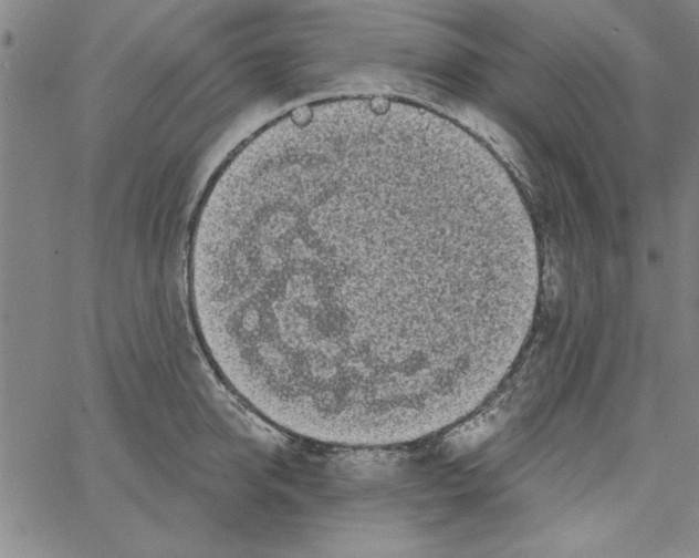 X0000066970950200604211903