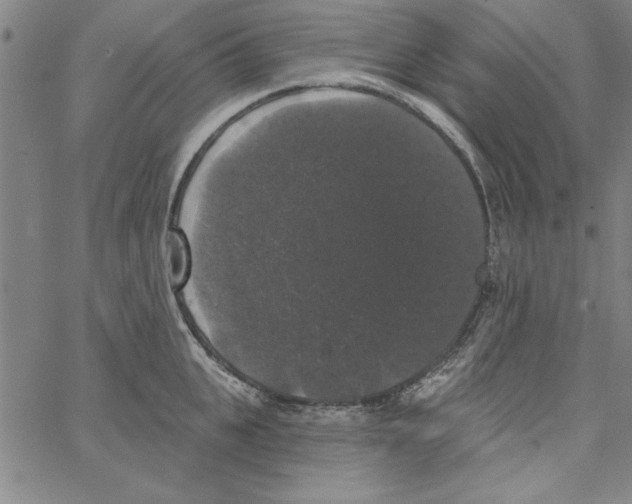 X0000066970951200604211903