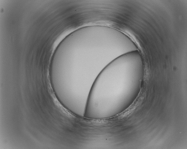 X0000066970952200604211903