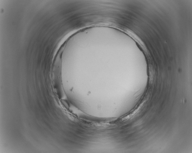 X0000066970956200604211903