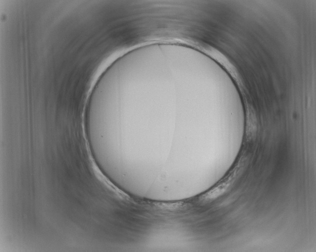 X0000066970958200604211903