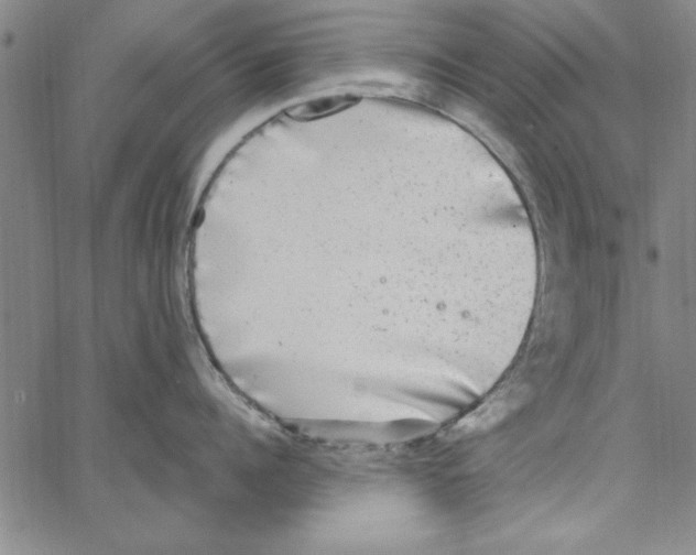 X0000066970960200604211903