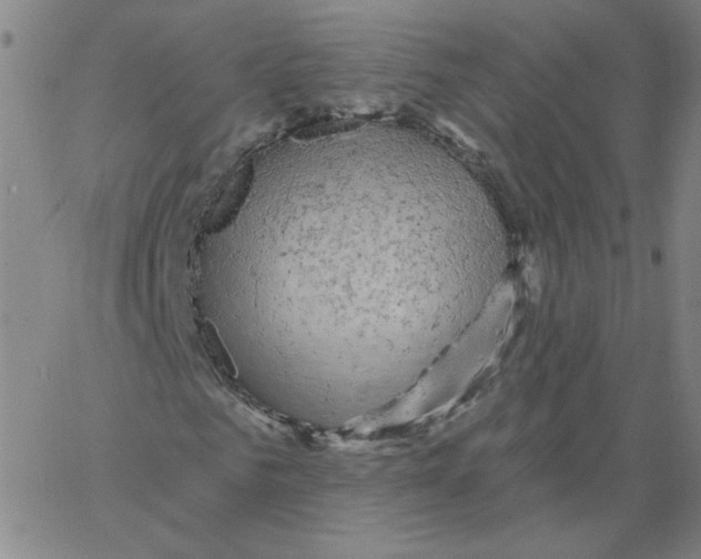 X0000066970961200604211902