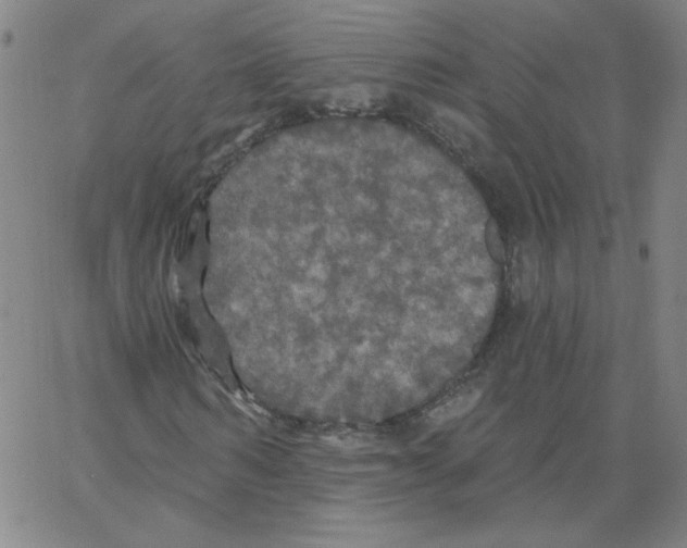 X0000066970962200604211902