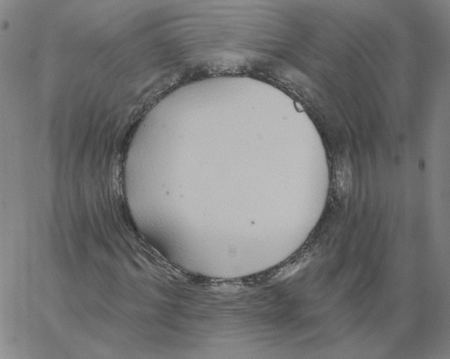 X0000066970964200604211902