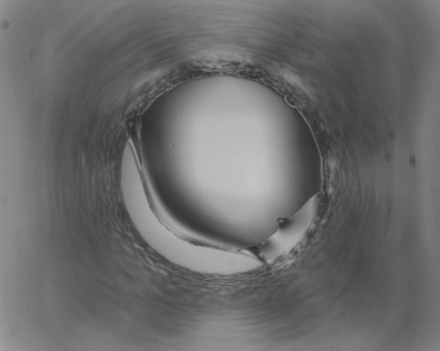 X0000066970965200604211902