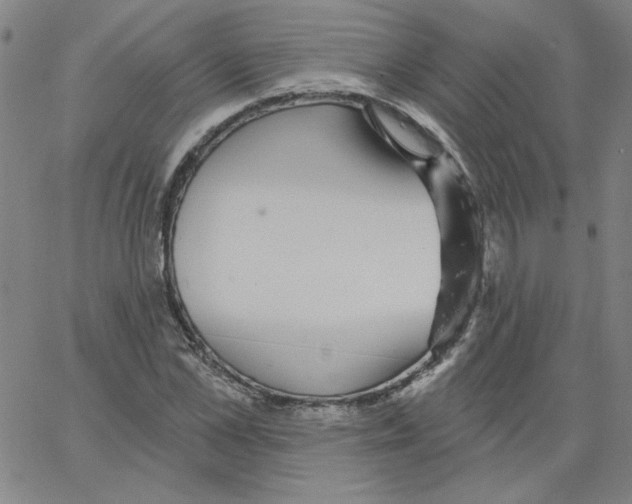 X0000066970973200604211902