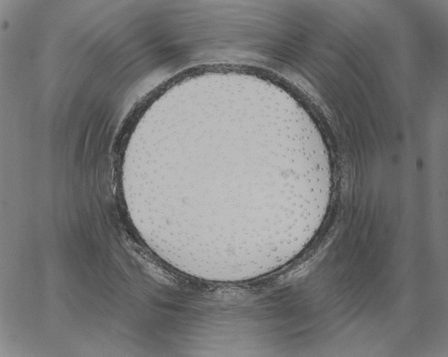 X0000066970974200604211902