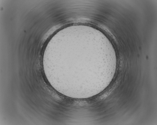 X0000066970978200604211902