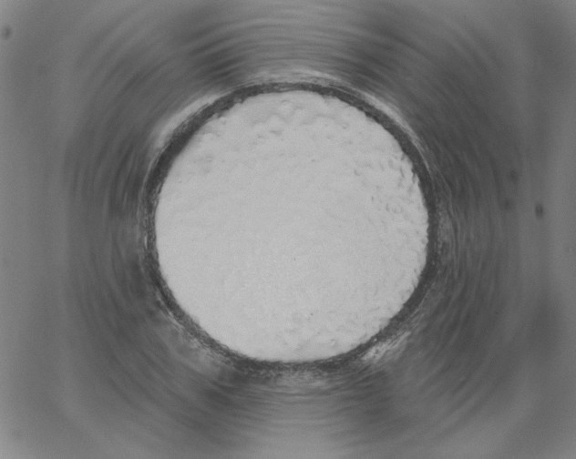 X0000066970979200604211902