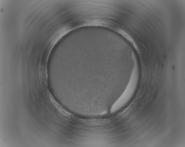 X0000066970980200604211902