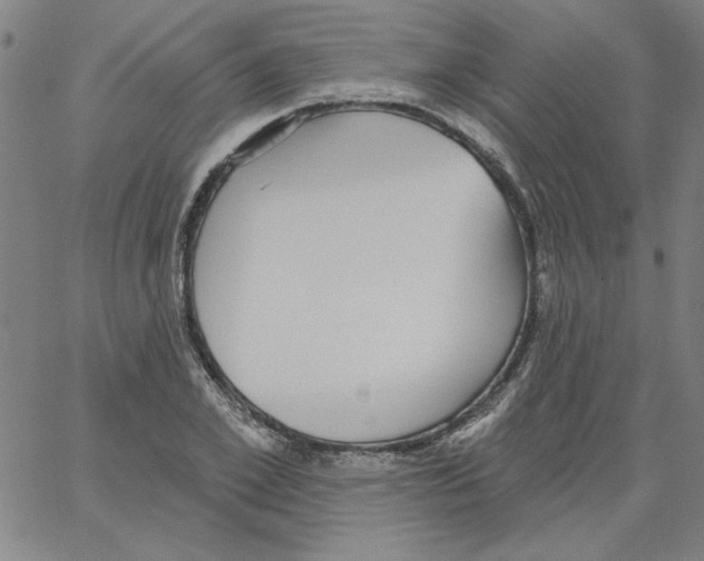 X0000066970981200604211902