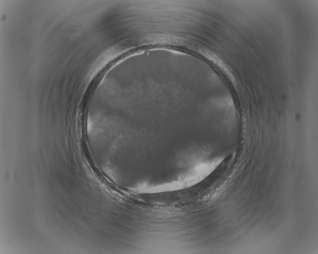 X0000066970983200604211902