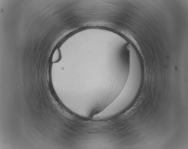 X0000066970984200604211902