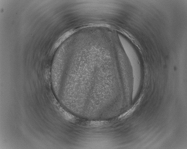 X0000066970985200604211902