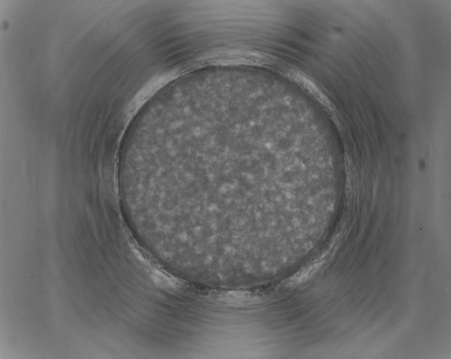 X0000066970986200604211902