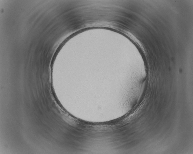 X0000066970988200604211902