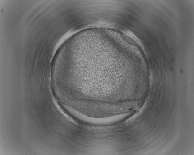 X0000066970989200604211902