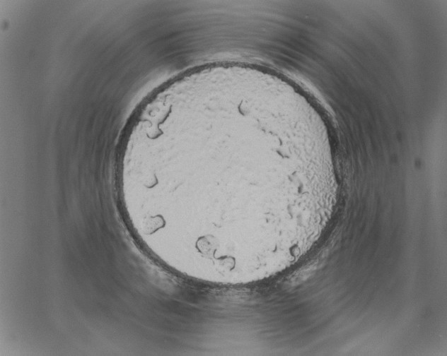 X0000066970991200604211902