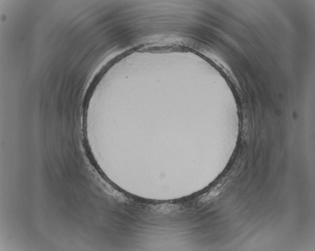 X0000066970992200604211902