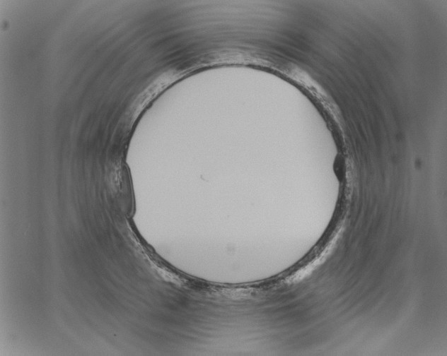 X0000066970993200604211902