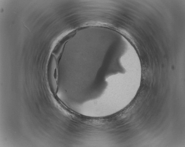 X0000066970995200604211902