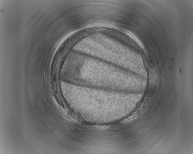 X0000066970996200604211902