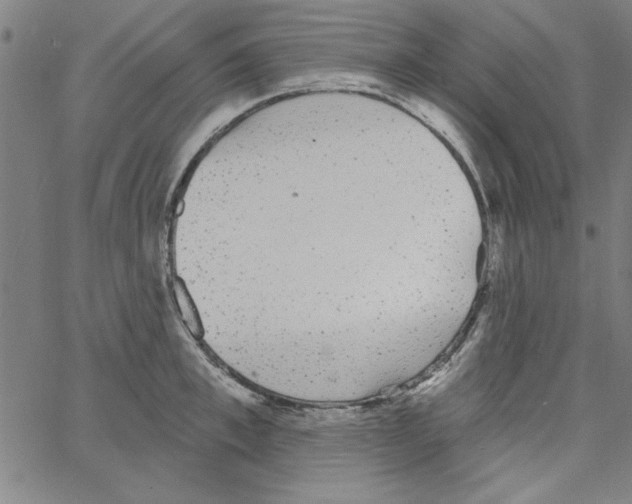 X0000066970997200604211902