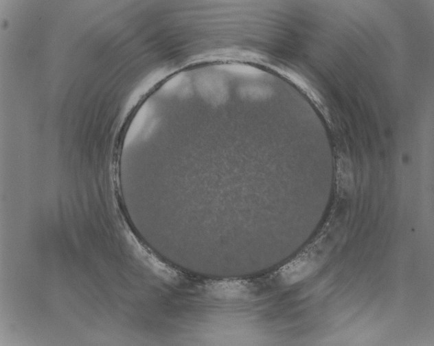 X0000066970998200604211902