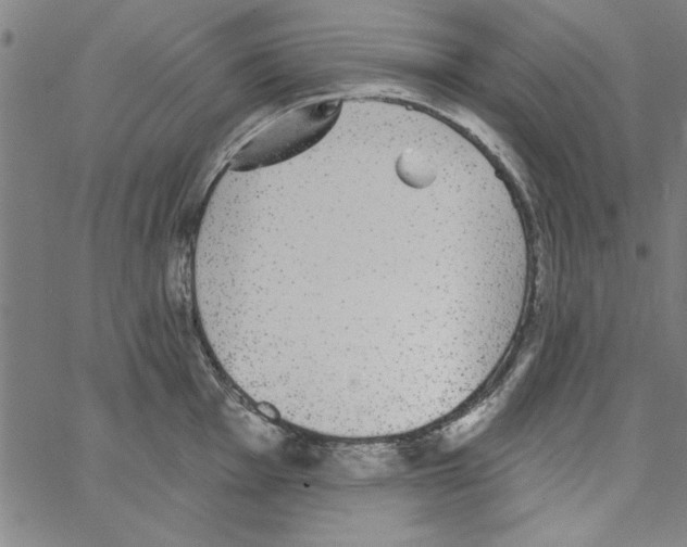 X0000066971001200604211902