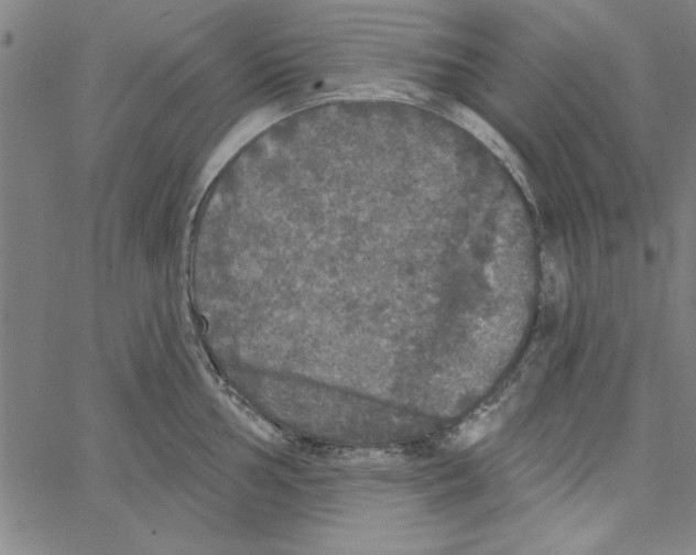 X0000066971002200604211902