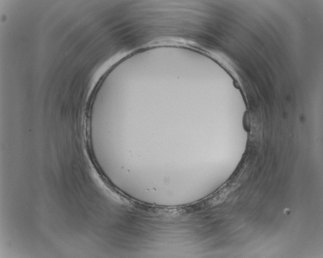 X0000066971003200604211902