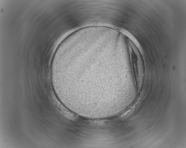 X0000066971004200604211902