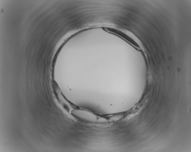 X0000066971005200604211902