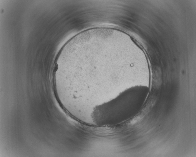 X0000066971007200604211902