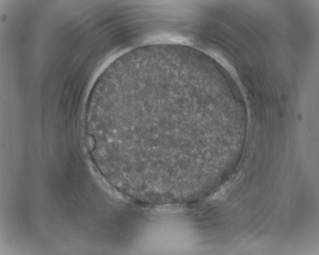 X0000066971008200604211902