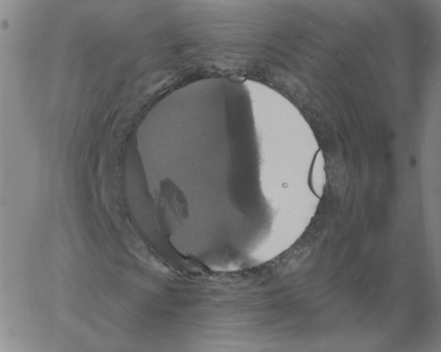 X0000066971009200604211901