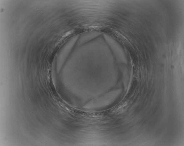 X0000066971010200604211901