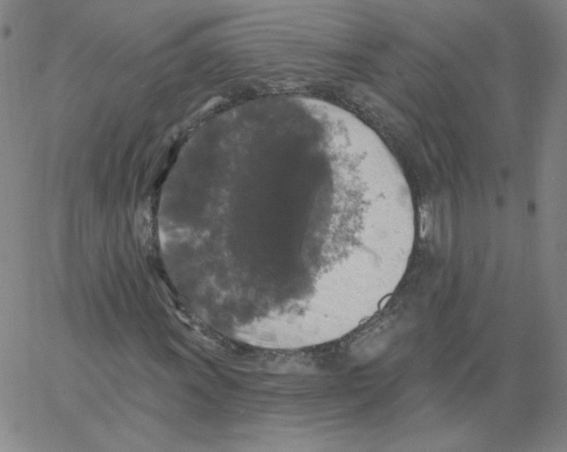 X0000066971011200604211901